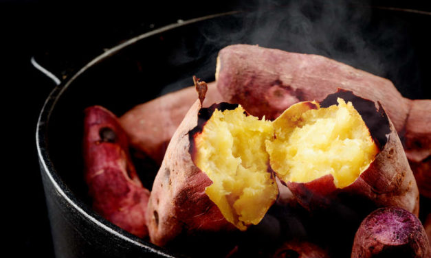 10 benefícios da batata-doce para sua rotina de treinos